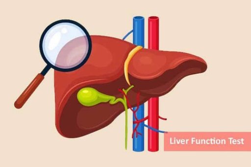 LFT (Liver Profile Test)