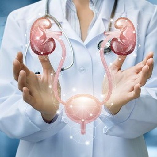 KFT (Kidney Function Test)