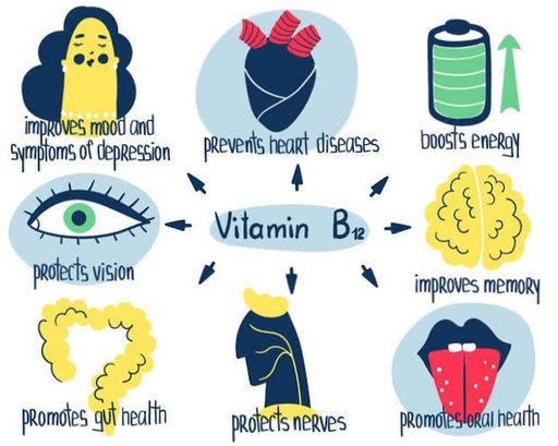 Vitamin B12