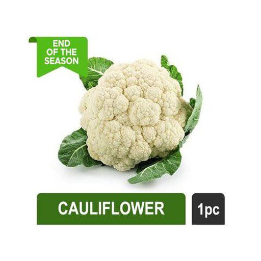 फुल कोबी 