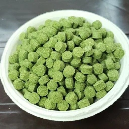 Pudina Vati