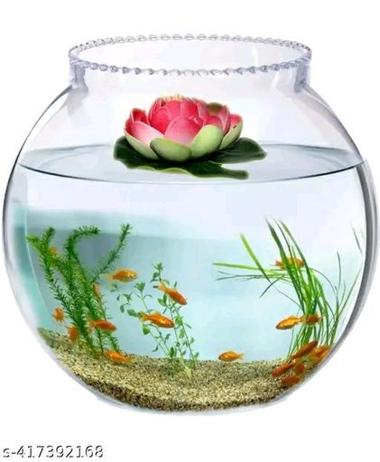 Classy fish bowl 6 inches
