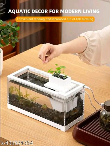 Beautiful Desktop Fish Tank