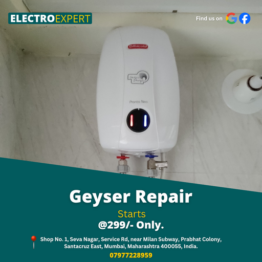Geyser repair service 