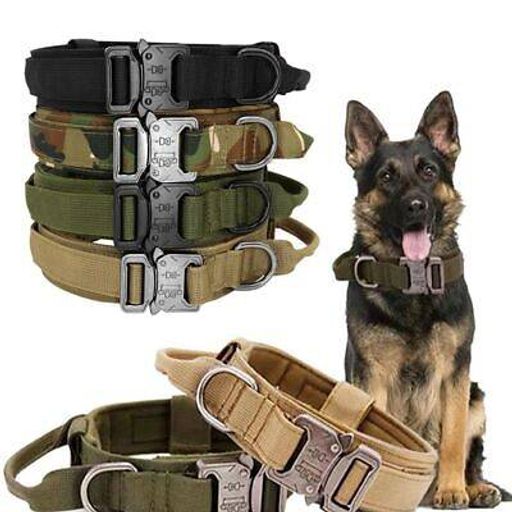  HARNESS