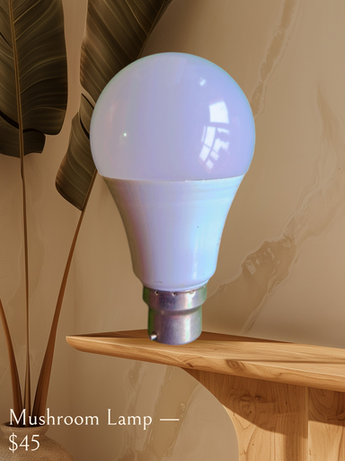 BrightLite 9W LED Bulb