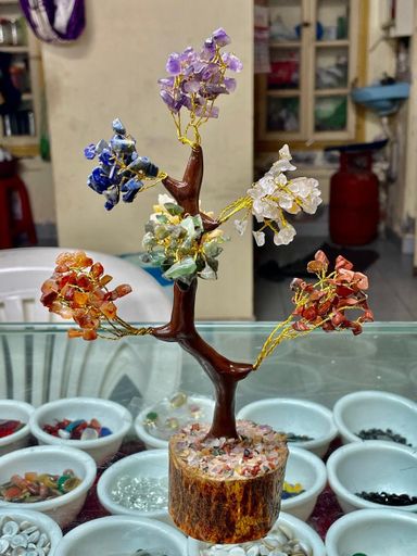 Lakshmi Tree 