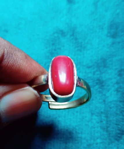 Mesh Rashi Ring 