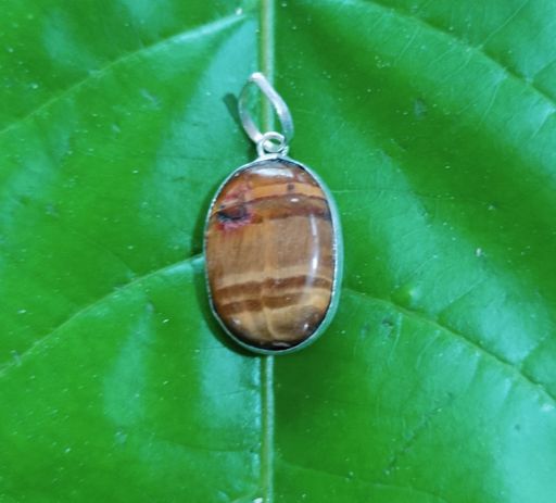 Tiger's Eye Pendet 