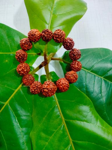Rudraksh Bracelet 