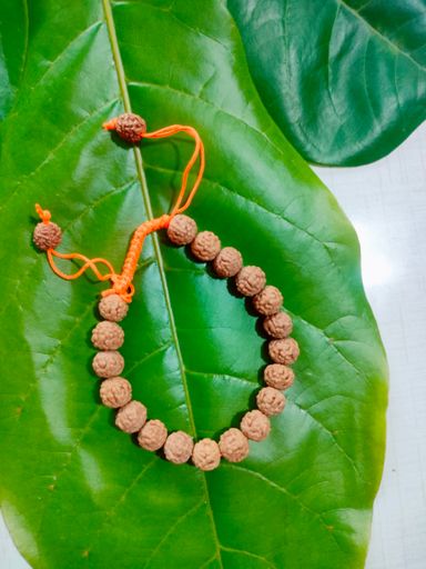 Rudraksh Thred Bracelet 