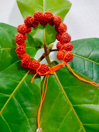 Two Layer Rudraksh Bracelet 