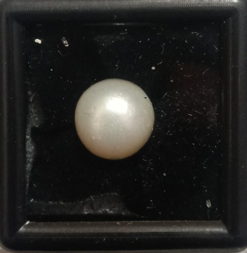 Moti (Fresh Water Pearl) 5.50ct