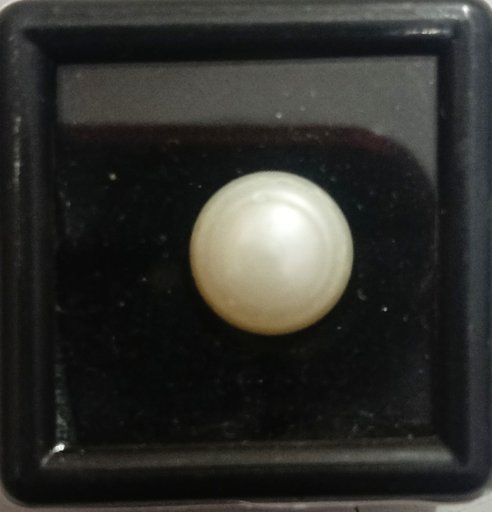 Moti (Fresh Water Pearl) 5.55ct
