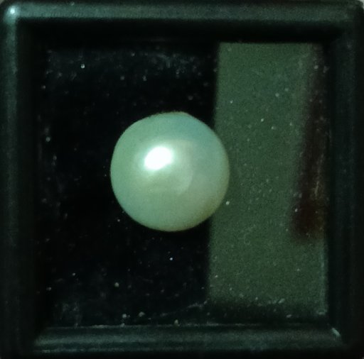 Moti (Fresh Water Pearl) 4.95ct