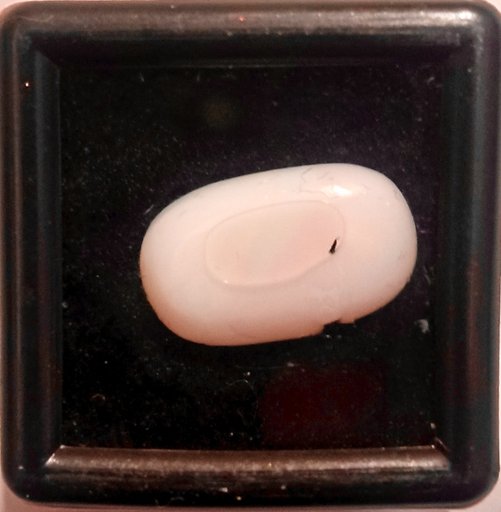 Opal (Natural Opal) 5.95ct