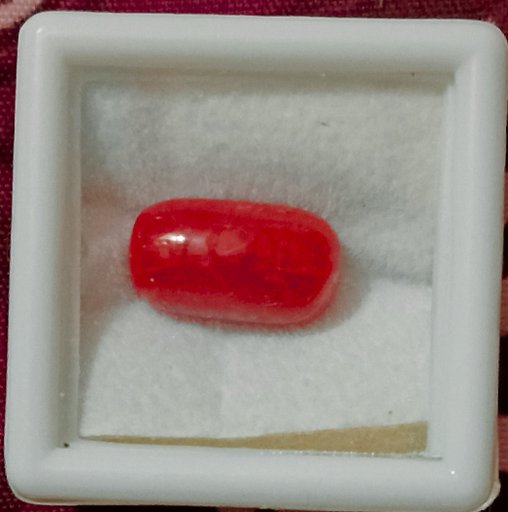 Moonga (Natural Coral) 6.10ct
