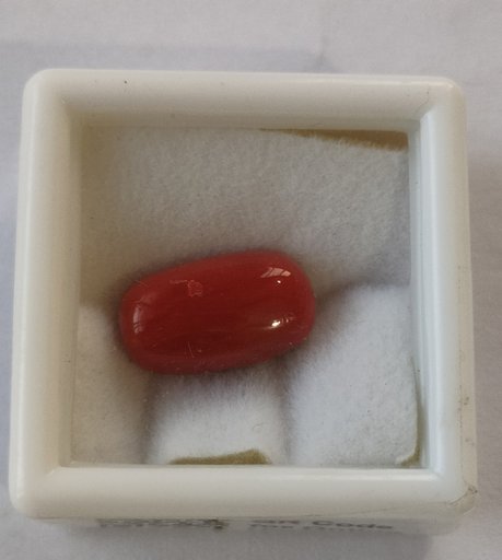 Natural Coral 5.76ct
