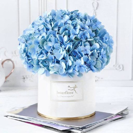 Blue Beauty Flowers Box 