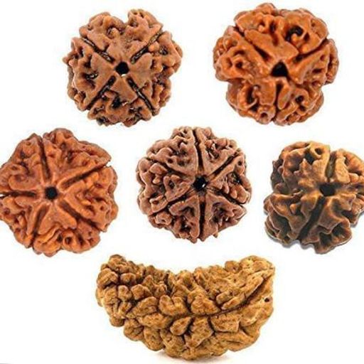 Nepali Rudraksha Beads