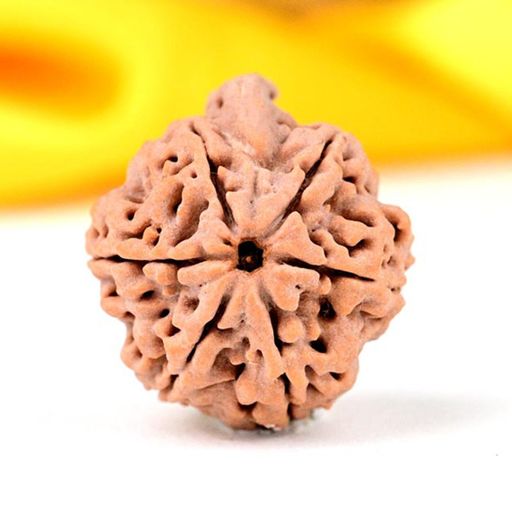 Ganesh (Ganapati) Rudraksha With Certificate 