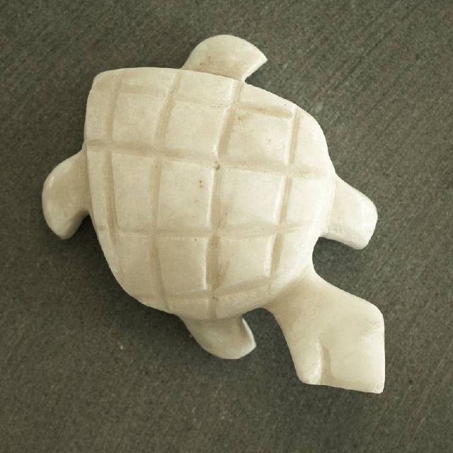 White Marble Tortoise 