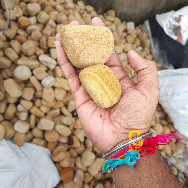 Natural Teak Rough Pebble Stone