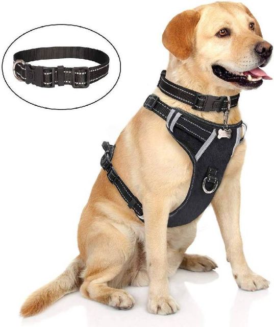 HARNESS  & COLLAR SET