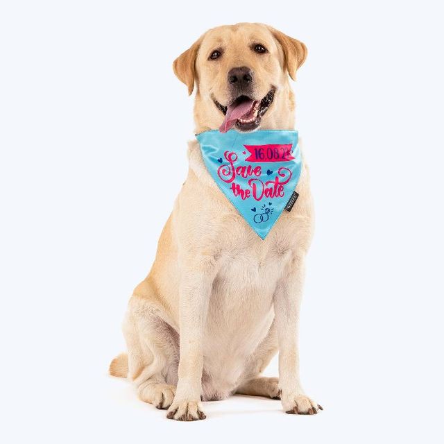 HUFT Personalised (Date) Save The Date Proposal Dog Bandana