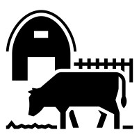 DAIRY FARMING