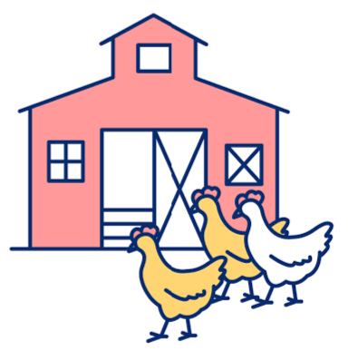 POULTRY FARM